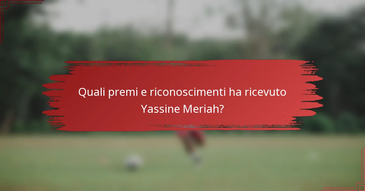 Quali premi e riconoscimenti ha ricevuto Yassine Meriah?